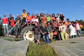 GROUPE;GROUP;PORTRAIT;CHAMP;CAMP;TRACTEUR;TRACTOR