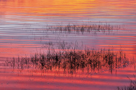 reflet;reflection;lumiere;light;lever de soleil;sunrise;rouge;red;orange;mauve;herbe;grass