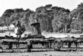 OSTREICOLE;OSTREICULTURE;OYSTER;OYSTER FARMING;HUITRE;NOIR ET BLANC;BLACK AND WHITE;TABLE;POCHE
